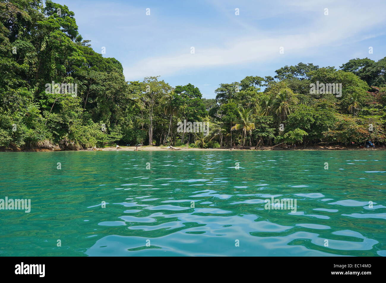 La côte des Caraïbes du Costa Rica à Punta Uva, Puerto Viejo de Talamanca Banque D'Images