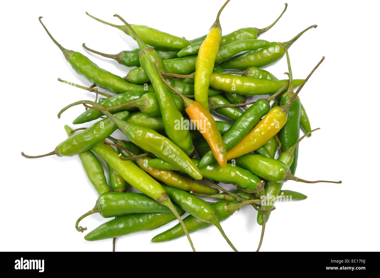 Piment vert isolé sur fond blanc Banque D'Images