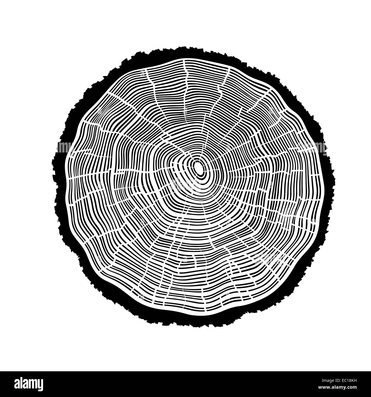 Anneaux d'un arbre avec des fissures. Banque D'Images