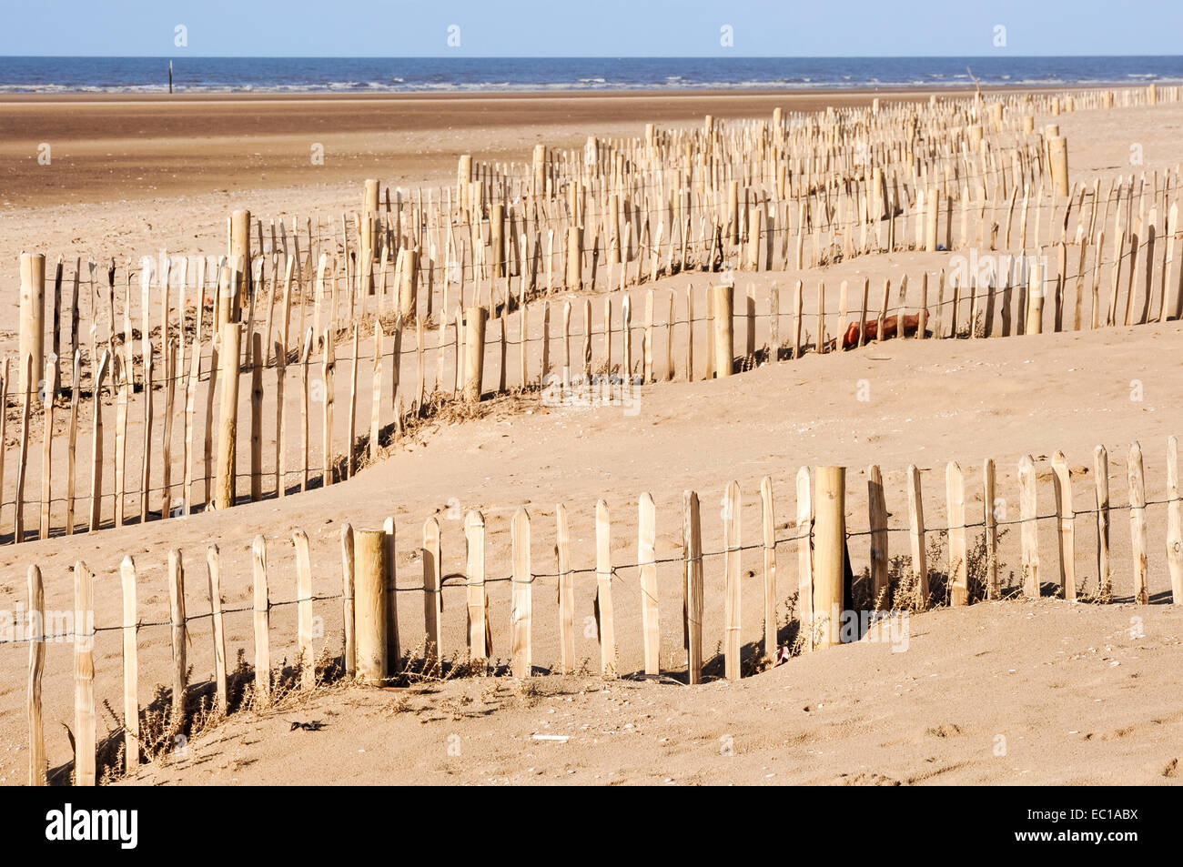 Palings en bois dans le sable à Formby Point Beach dans Merseryside. Banque D'Images