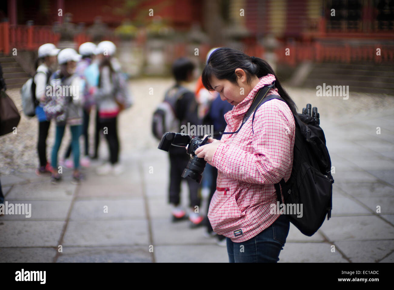 Un touriste vérifie l'image sur l'arrière de son appareil photo, Nikko, Japon. Banque D'Images