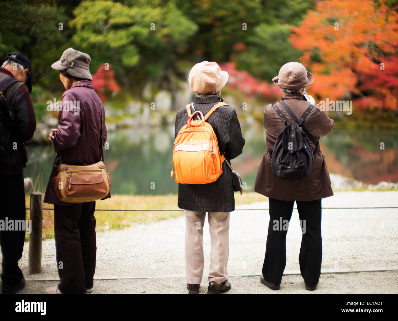Les touristes japonais à maturité l'affichage des feuilles de l'automne, de Arashiyama, Kyoto, Japon. Banque D'Images