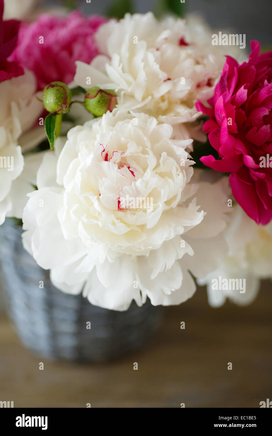 Les Pivoines en fleurs bouquet, vase ancien Banque D'Images