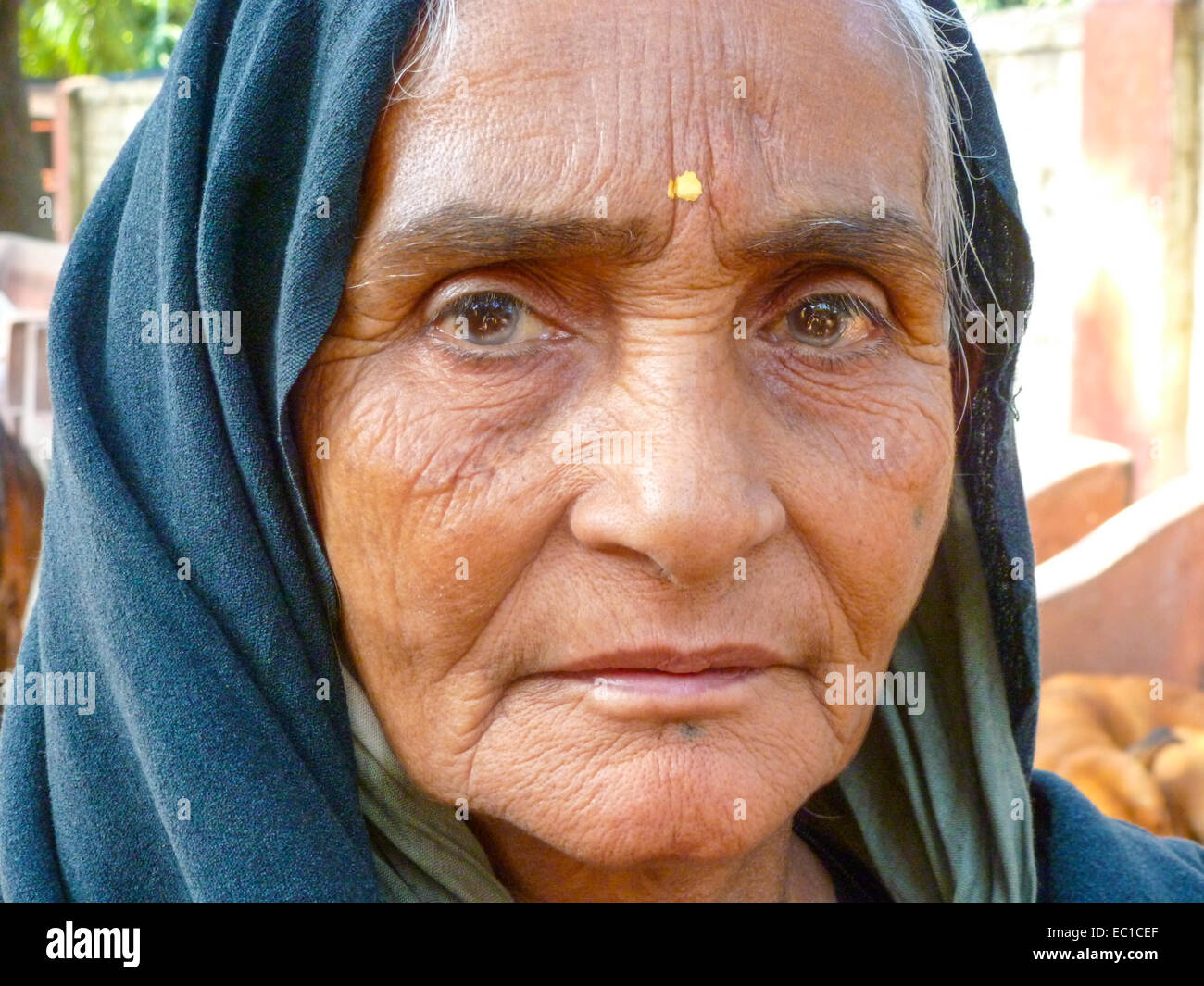 Portrait de femme indienne Banque D'Images