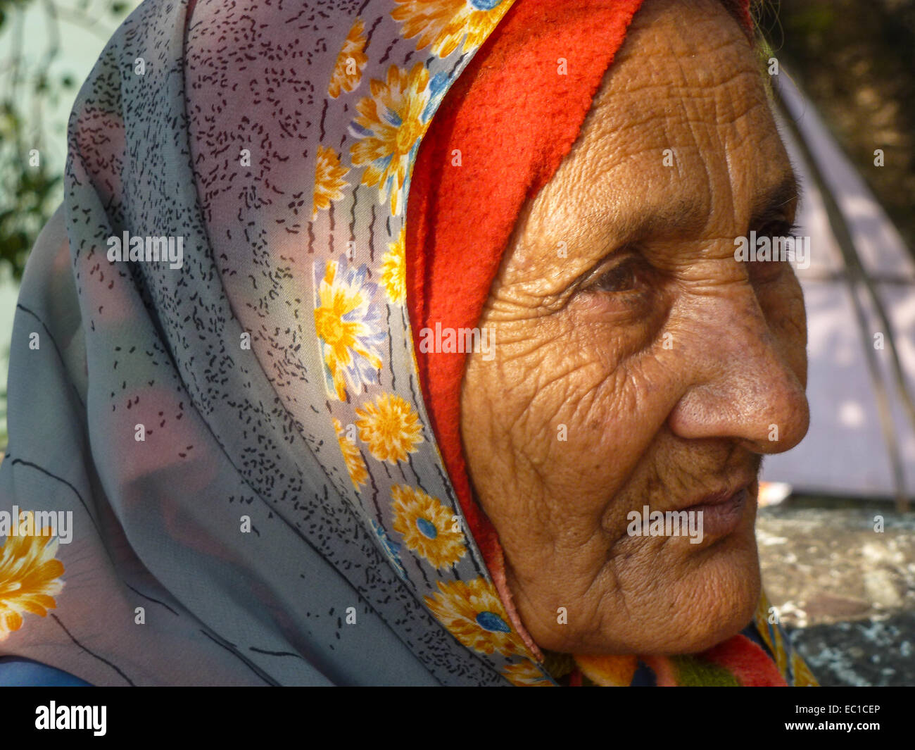 Portrait de femme indienne Banque D'Images