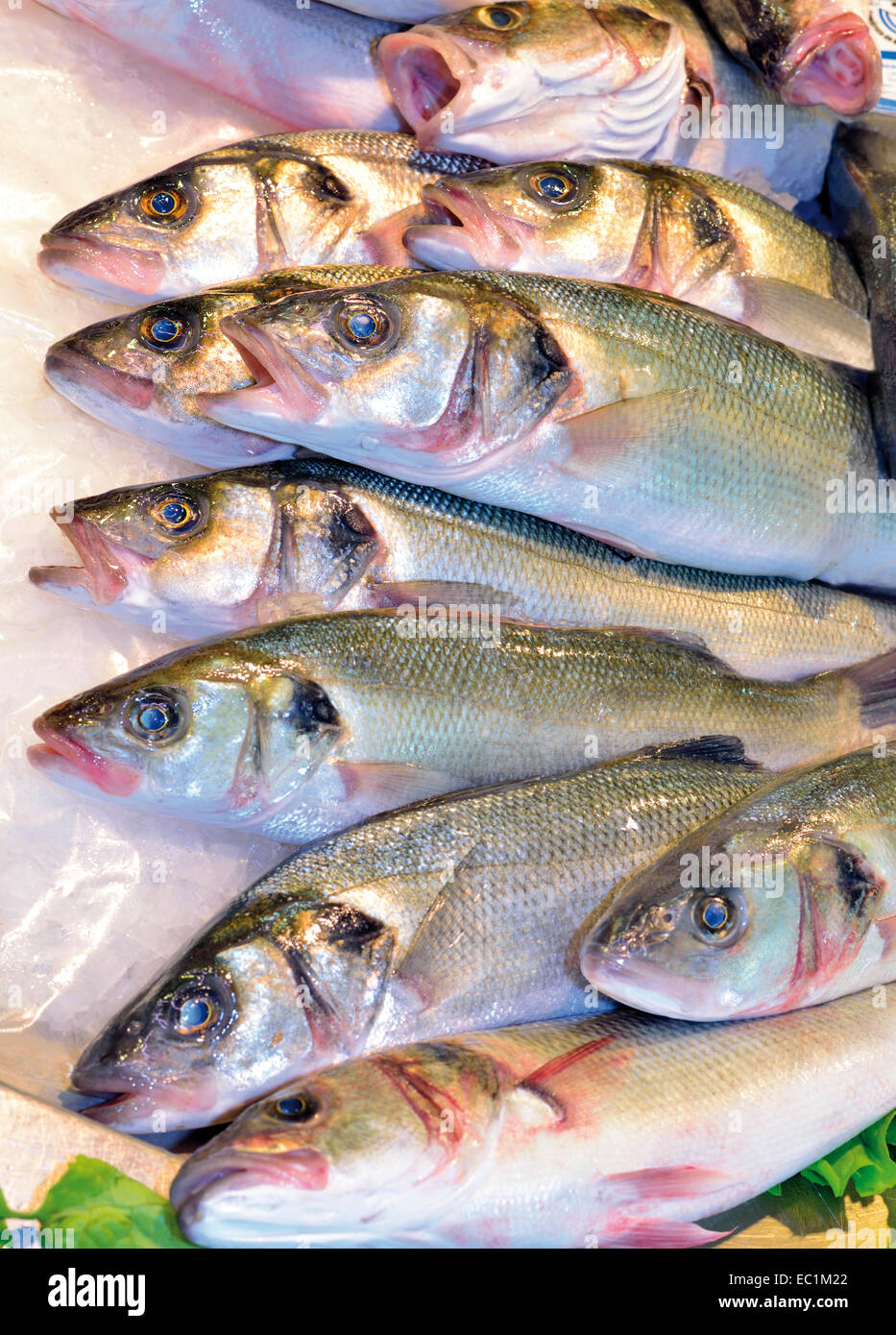 Le Portugal, l'Algarve : poisson frais dans le Marché Municipal à Faro Banque D'Images