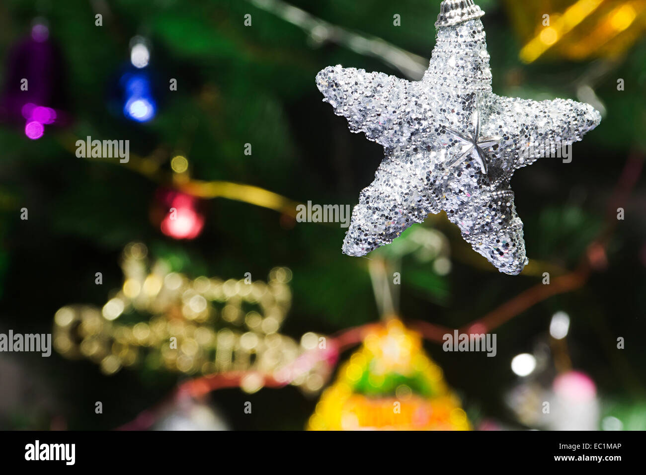 Festival de Noël Tree star Personne n Banque D'Images