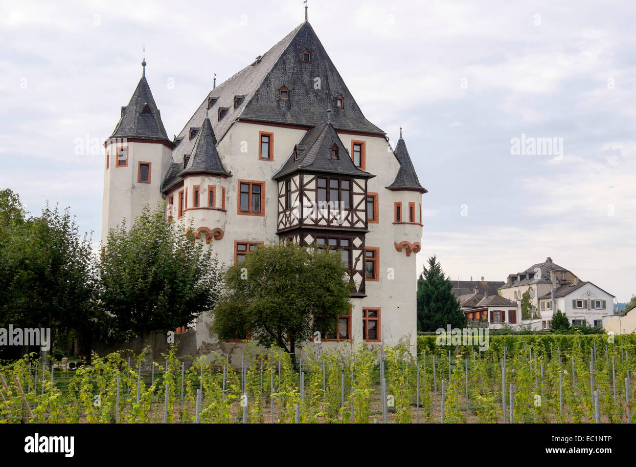 Vignes en Schloss Schönborn palace vignoble dans la vallée du Rhin. Tübingen, Hesse, Germany, Europe Banque D'Images
