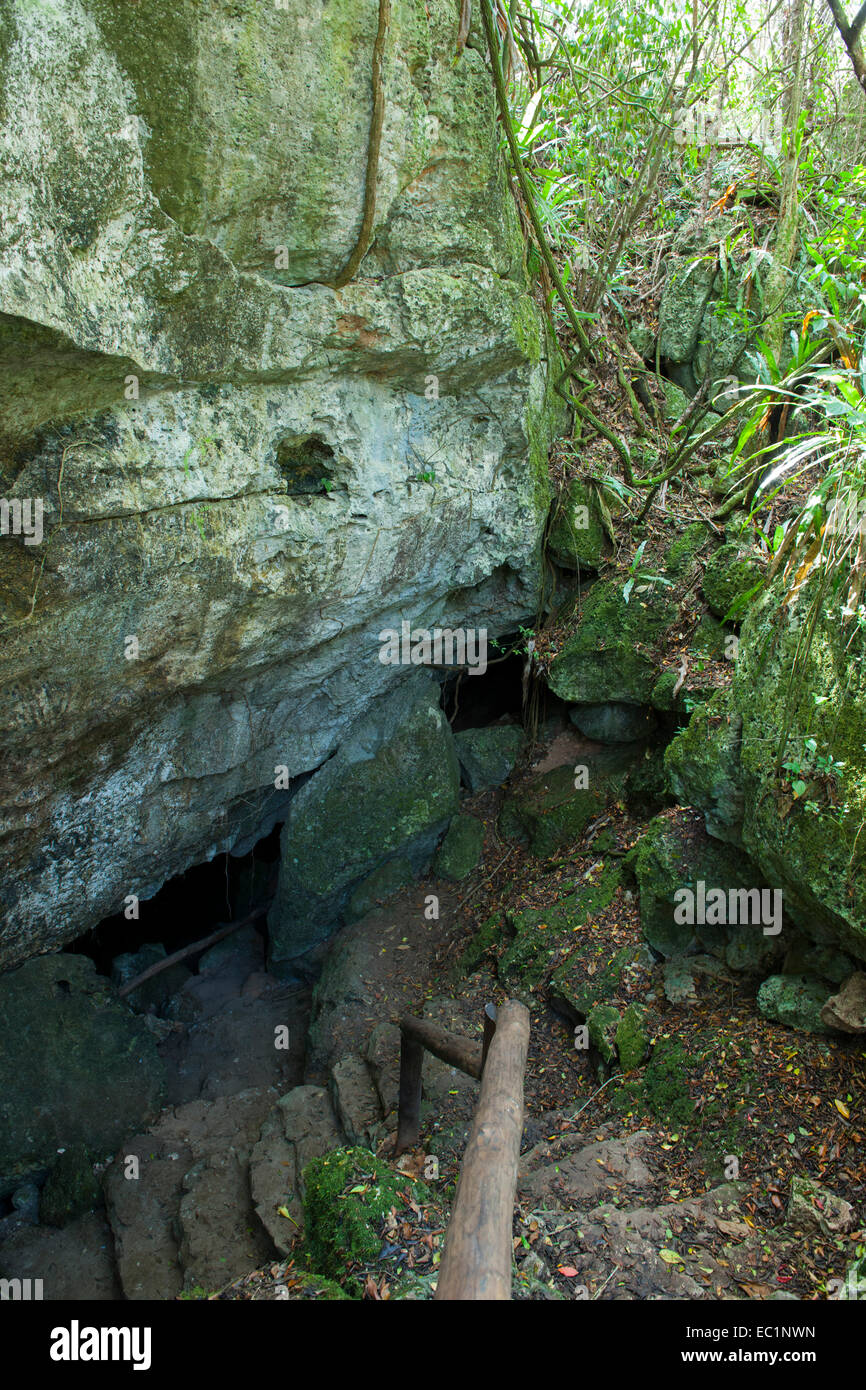Dominikanische Republik, Osten, Bayahibe, Parque Nacional del Este, Höhlen von Padre Nuestro Banque D'Images