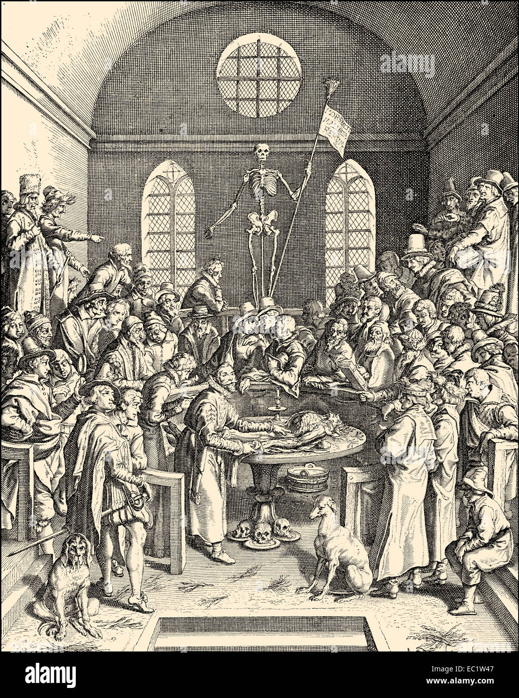 Salle de conférence anatomique, l'Allemagne, 16ème siècle, Banque D'Images