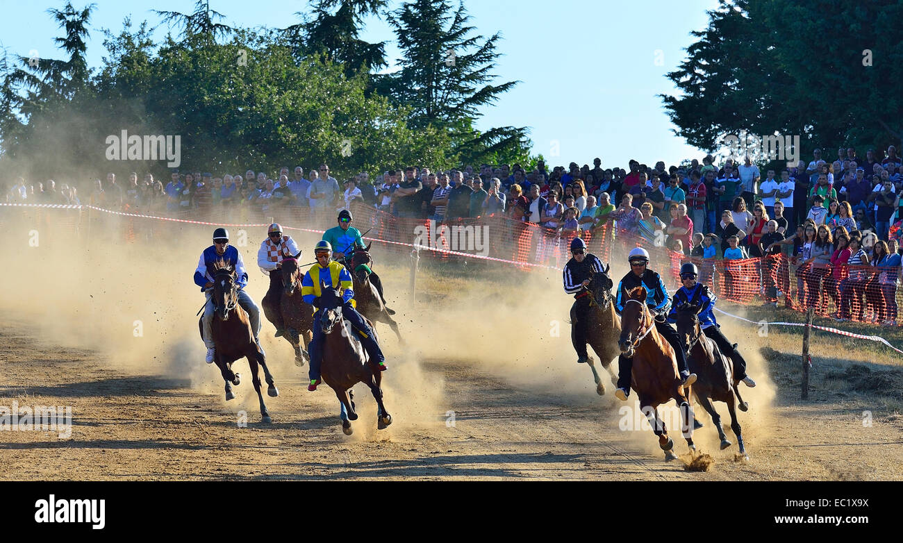 Course de chevaux sauvages sans selle à la Su Palu de Sa Itria festival Gavoi, Province de Nuoro, Italie, Europe Banque D'Images