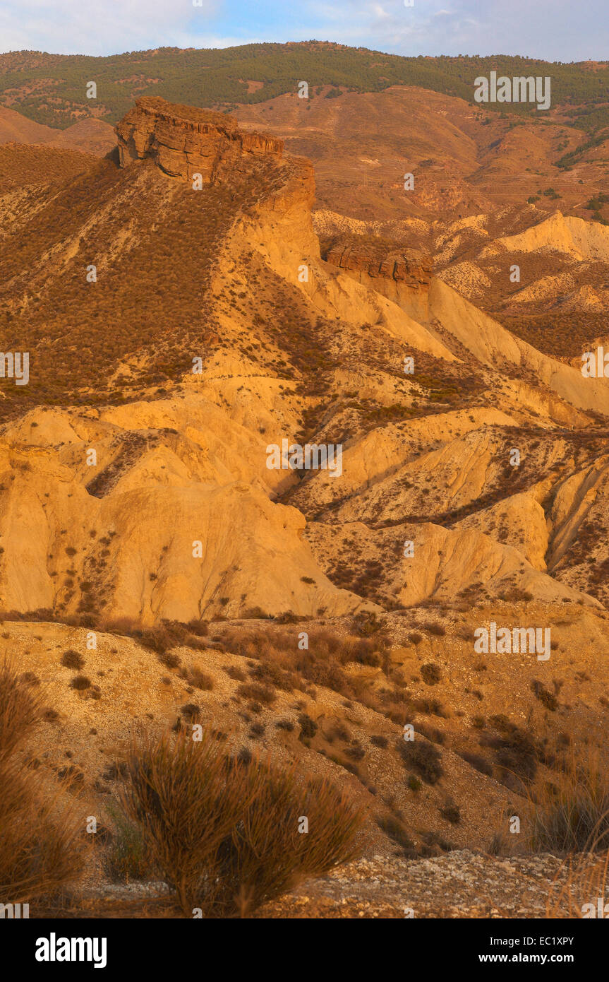 Tabernas, Désert de Tabernas, Parc Naturel du désert de Tabernas, la Province d'Almeria, Andalousie, Espagne, Europe Banque D'Images