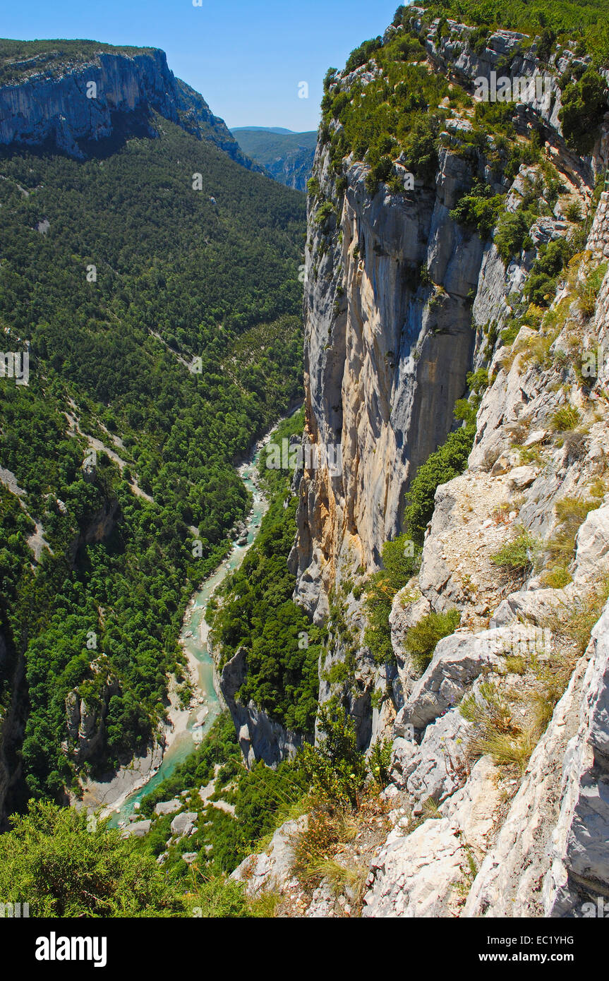 Canyon du Verdon, le Parc Naturel Régional du Verdon, Provence, Gorges du Verdon, Provence-Alpes-Côte-d'Azur, France, Europe Banque D'Images