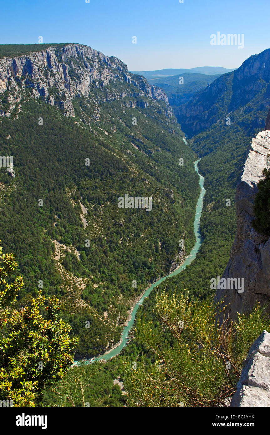 Canyon du Verdon, le Parc Naturel Régional du Verdon, Provence, Gorges du Verdon, Provence-Alpes-Côte-d'Azur, France, Europe Banque D'Images