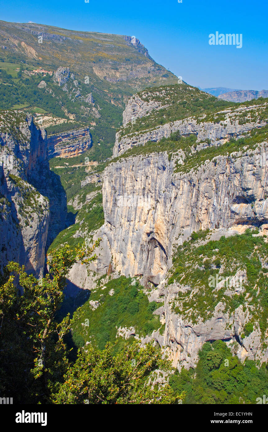 Canyon du Verdon, le Parc Naturel Régional du Verdon, Provence, Gorges du Verdon, Provence-Alpes-Côte-d'Azur, France, Europe Banque D'Images
