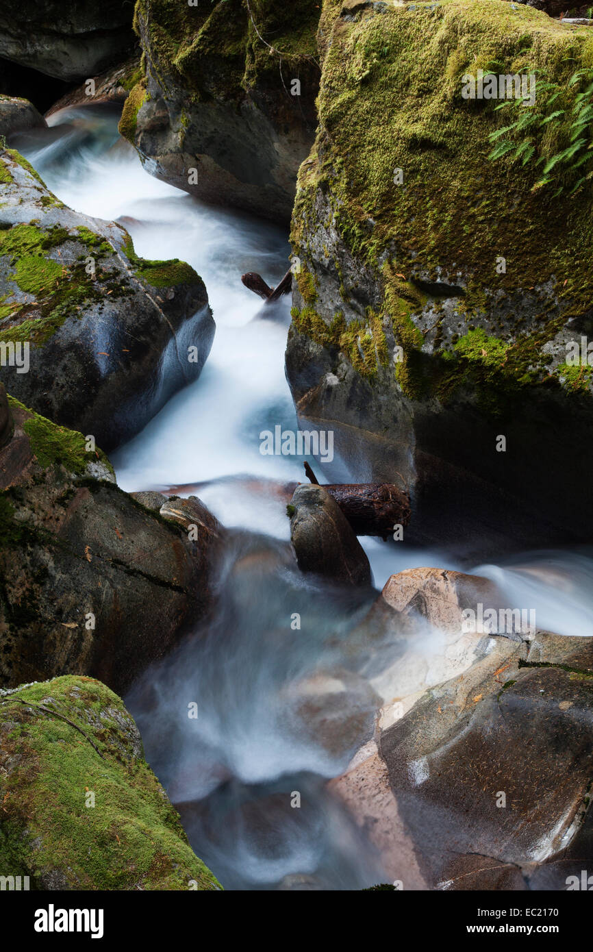 Bain creek falls, newhalem, North Cascades National Park, cascades, Washington, United States Banque D'Images