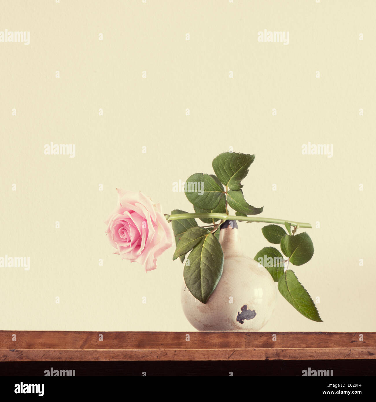 Still Life with rose sur vase en céramique Banque D'Images