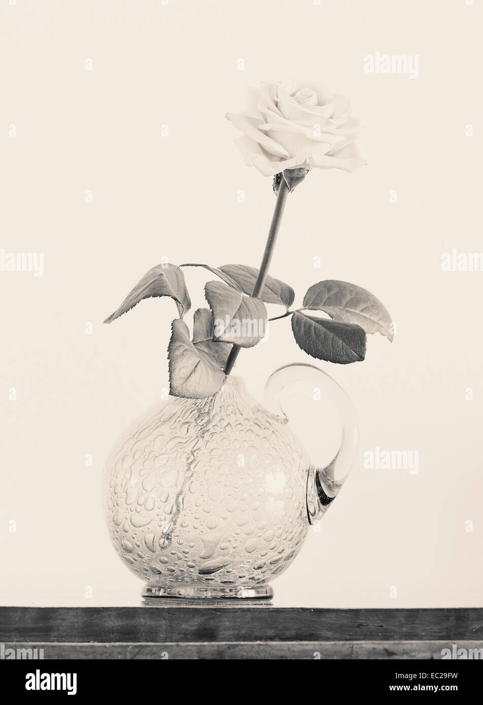 Nature morte avec roses en vase en verre Banque D'Images