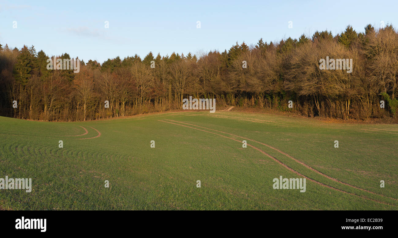 Site proposé de HS2 entrée du tunnel Bois Manteaux Little Missenden Buckinghamshire Angleterre Banque D'Images