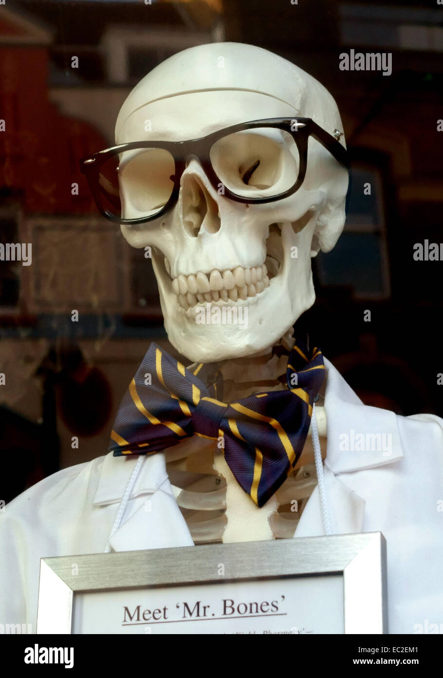 Crâne humain dans Londres, affichage de vitrine Banque D'Images