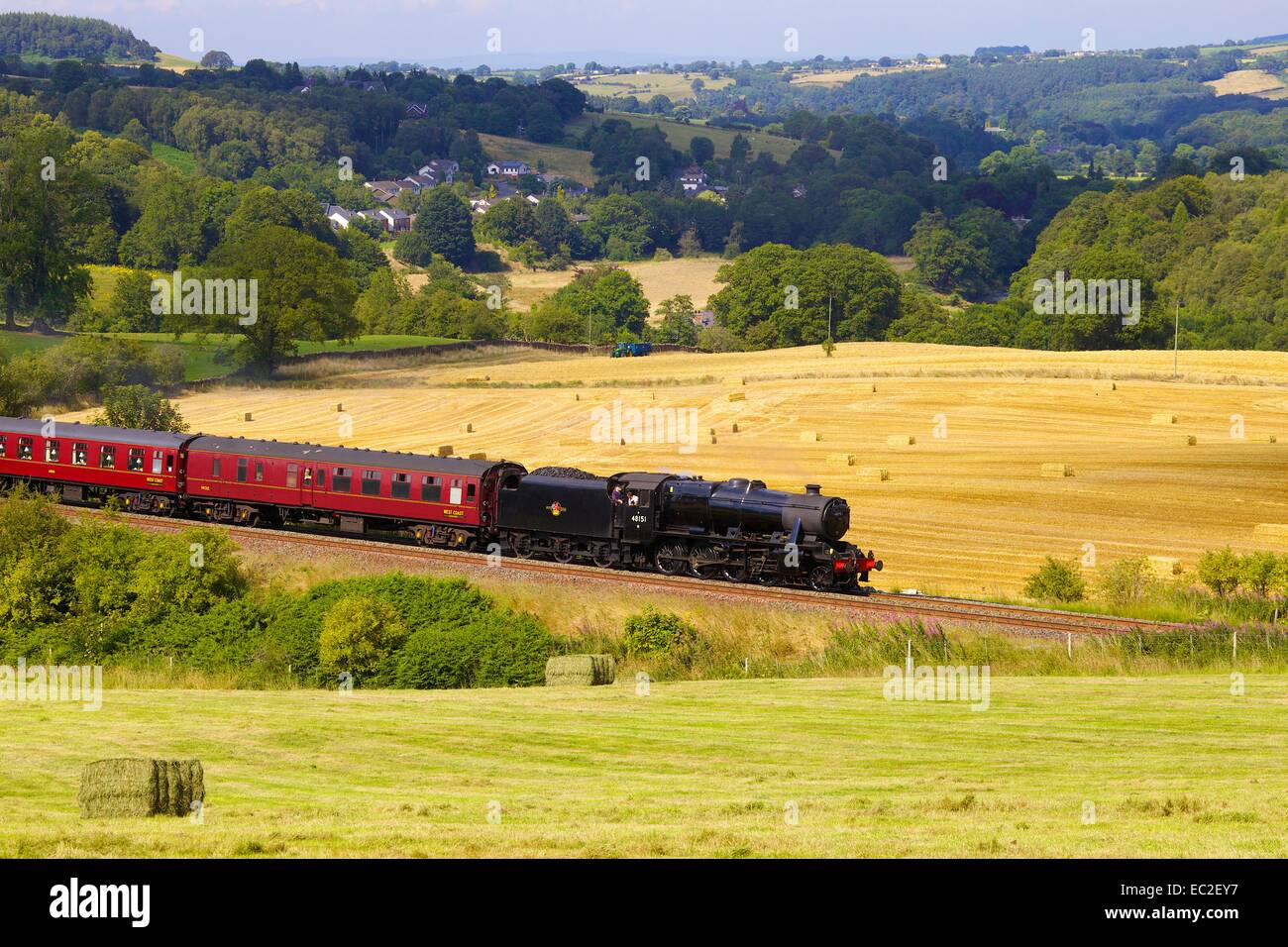 LMS Classe 8F 48151 Stanier, train à vapeur passant hay field, Eden Valley, Cumbria, England, UK. Banque D'Images