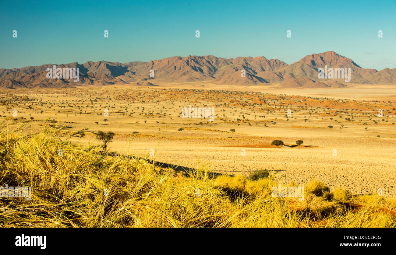 L'Afrique, la Namibie. Tok Tokkie Trails. Au cours de la randonnée. Banque D'Images