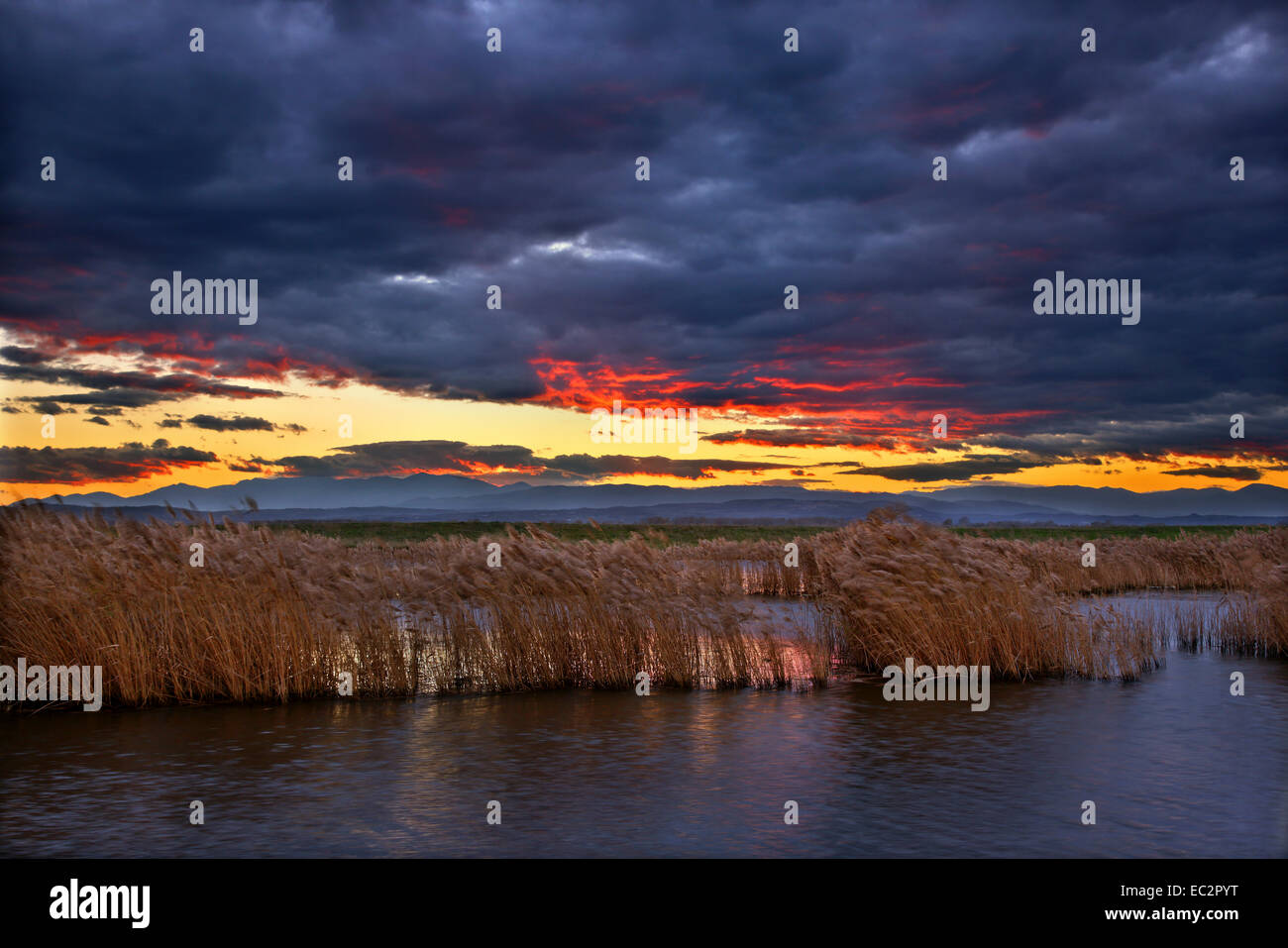 Coucher du soleil au delta du fleuve Aliakmon, Piérie - Imathia, Macédoine, Grèce. Banque D'Images