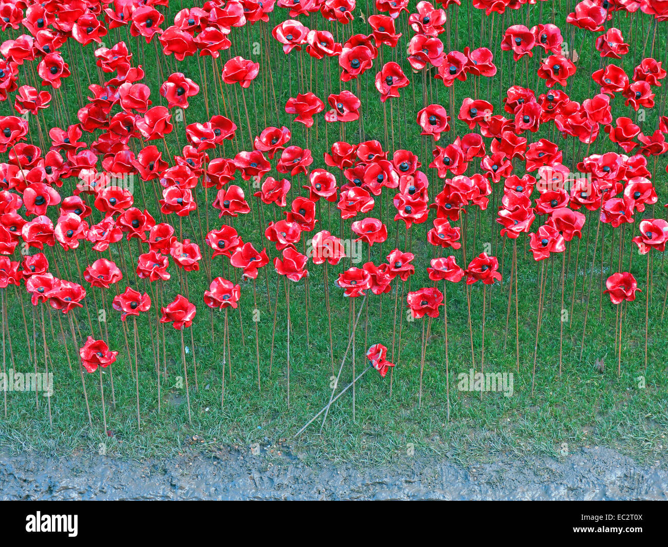 Détail de sang a balayé les terres et les mers de coquelicots rouges, à la Tour de Londres, Angleterre Banque D'Images