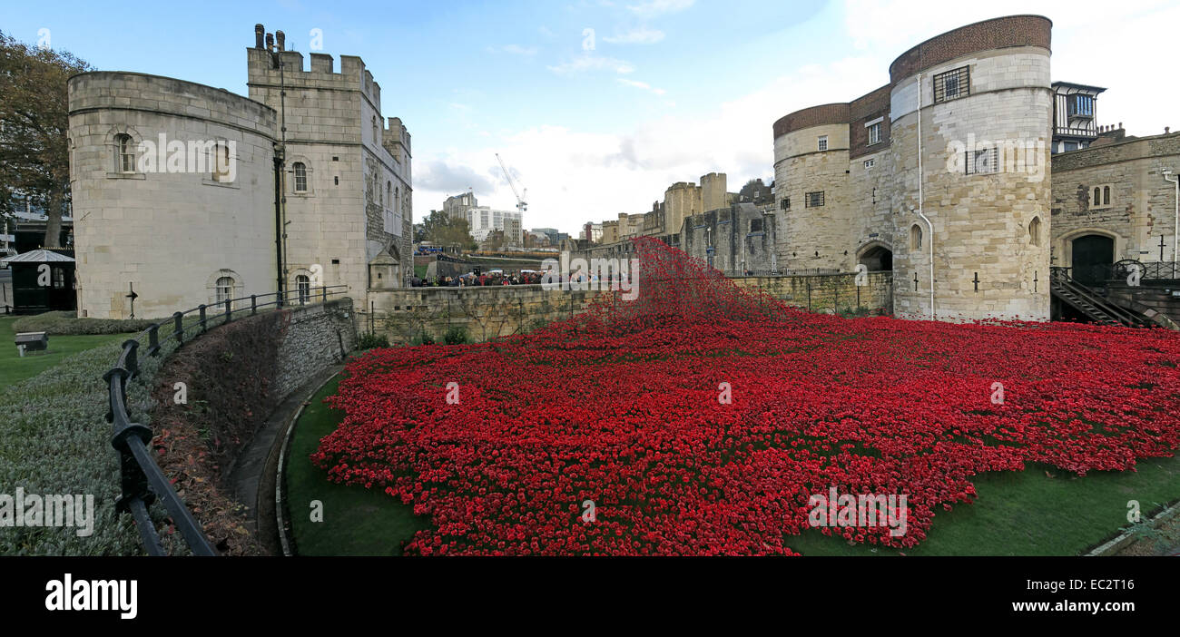 Les terres et les mers de sang ont balayé de coquelicots rouges, à la Tour de Londres, Angleterre Banque D'Images
