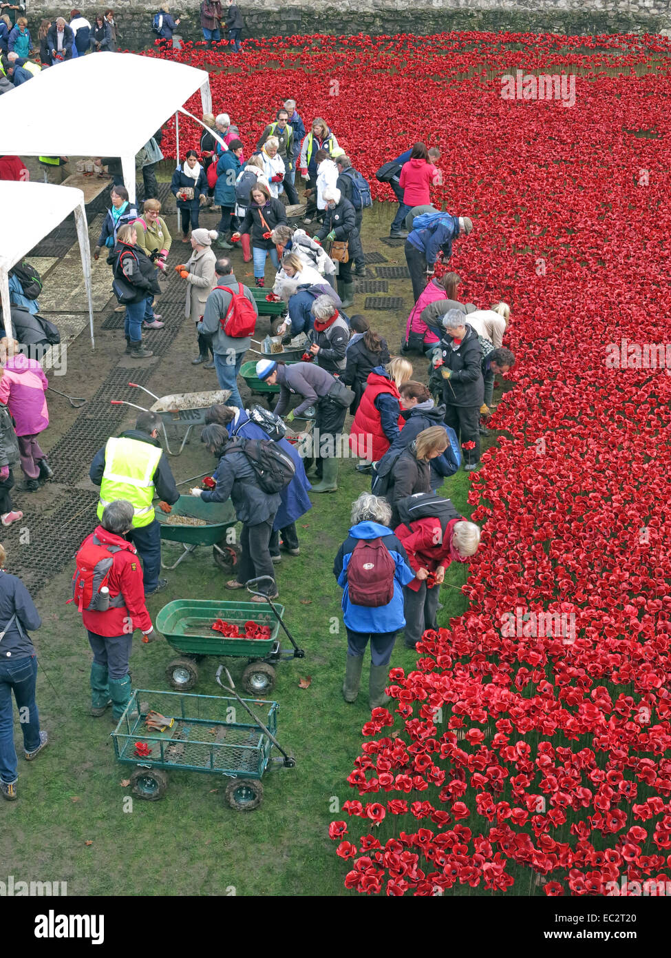 Les bénévoles du sang de démantèlement ont balayé les terres et les mers de coquelicots rouges, à la Tour de Londres, Angleterre Banque D'Images