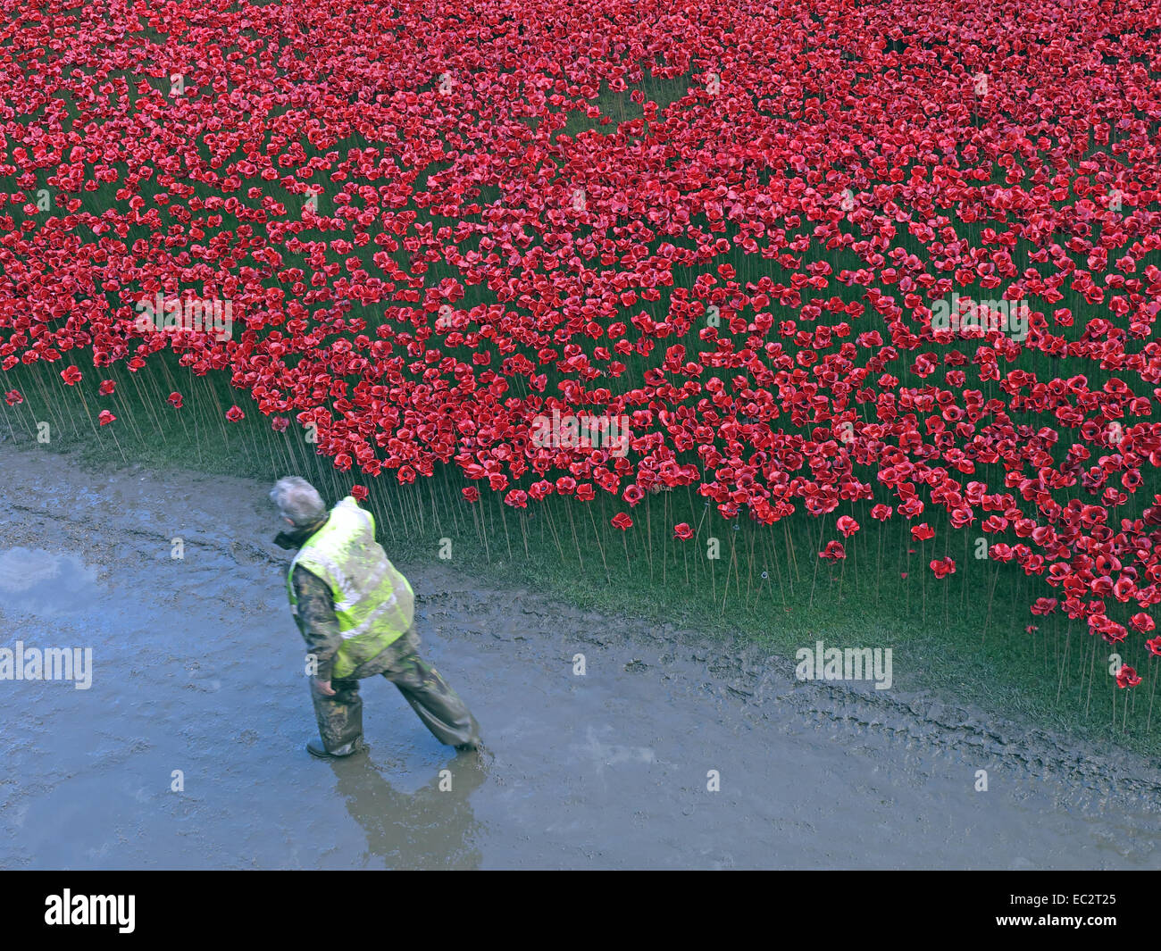 Le sang passe bénévoles ont balayé les terres et les mers de coquelicots rouges, à la Tour de Londres, Angleterre Banque D'Images