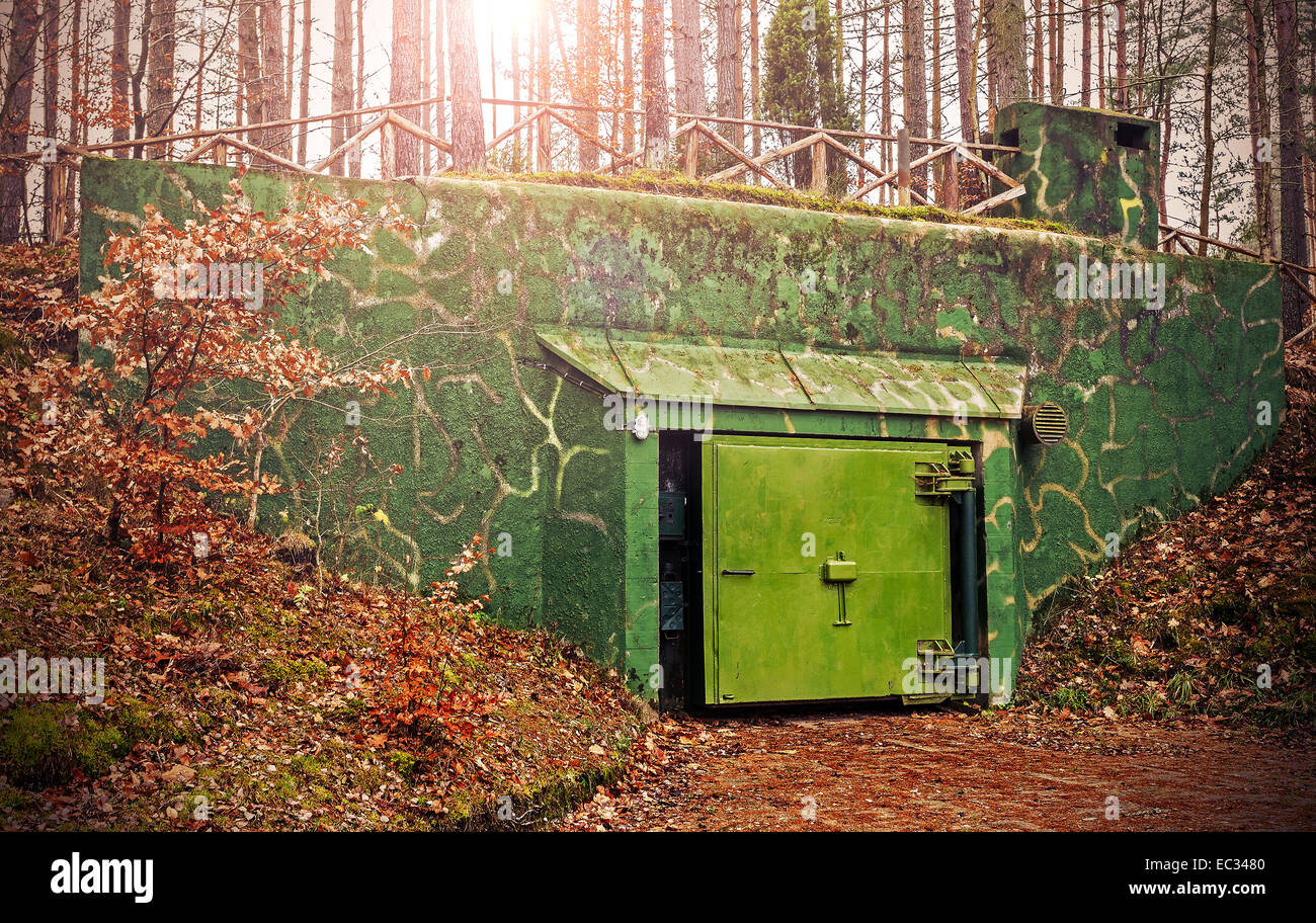 Retro photo filtrée d'un bunker caché dans la forêt. Banque D'Images