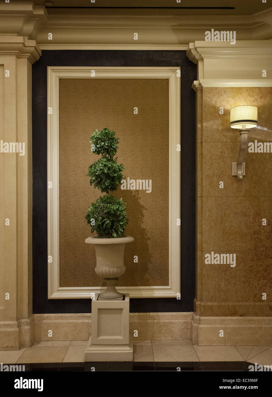 Fragment de l'intérieur. des murs en marbre avec grand vase avec arbre dans un milieu Banque D'Images