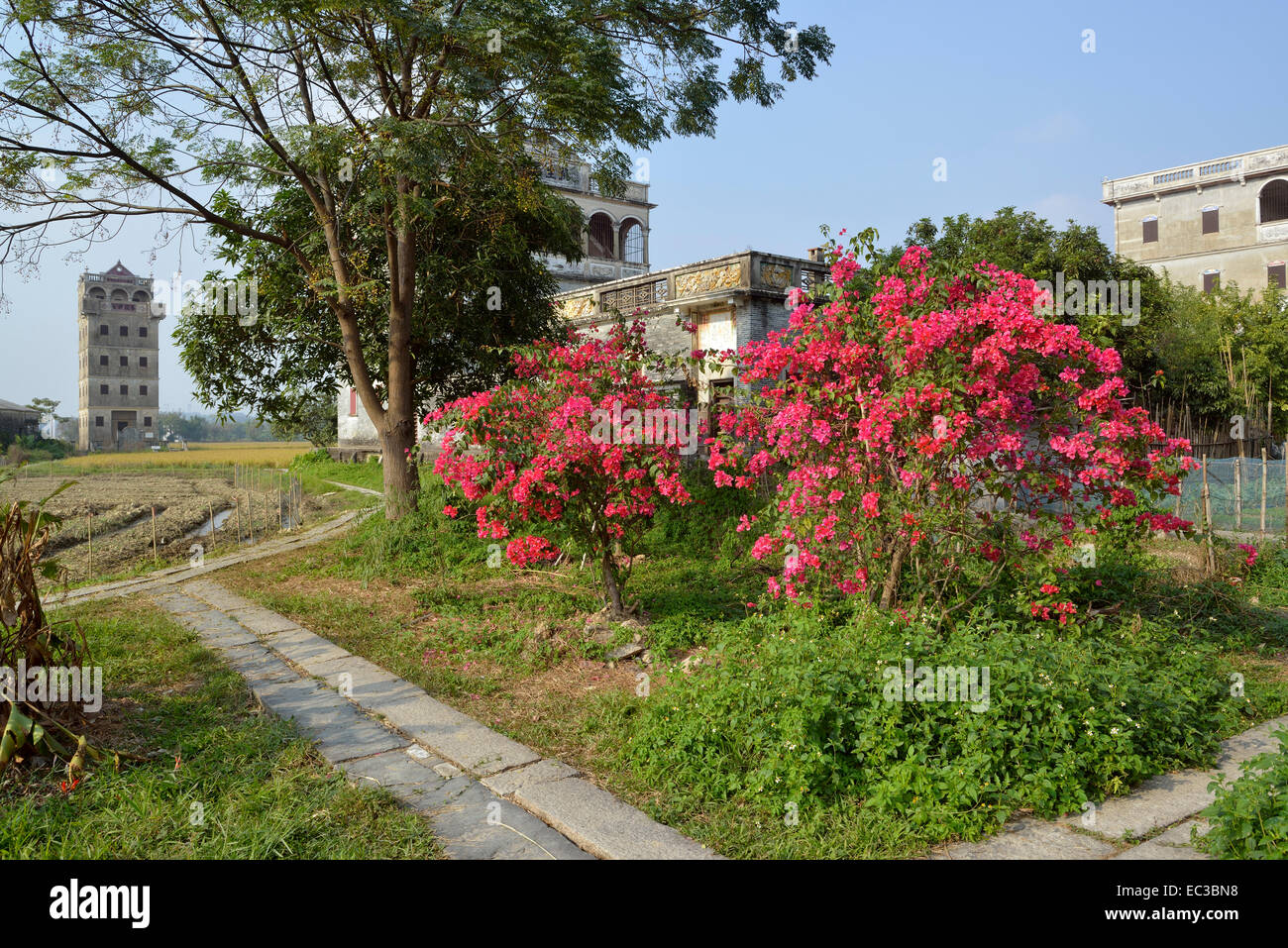 Kaiping Diaolou et les villages ont été ajoutés à la liste des sites du patrimoine mondial de l'en 2007. Banque D'Images
