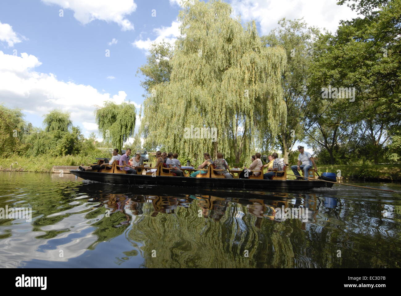 Spreewald, Brandenburg, Allemagne Banque D'Images