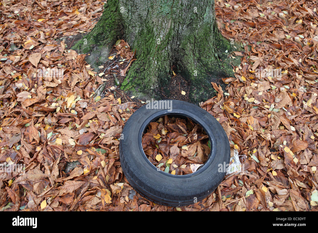 Les pneus de voiture dans la nature Banque D'Images