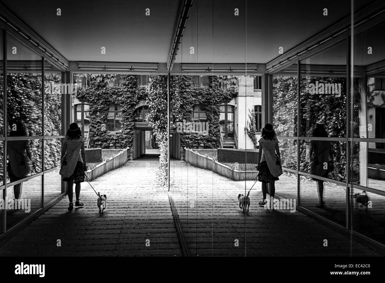 promener le chien Banque D'Images