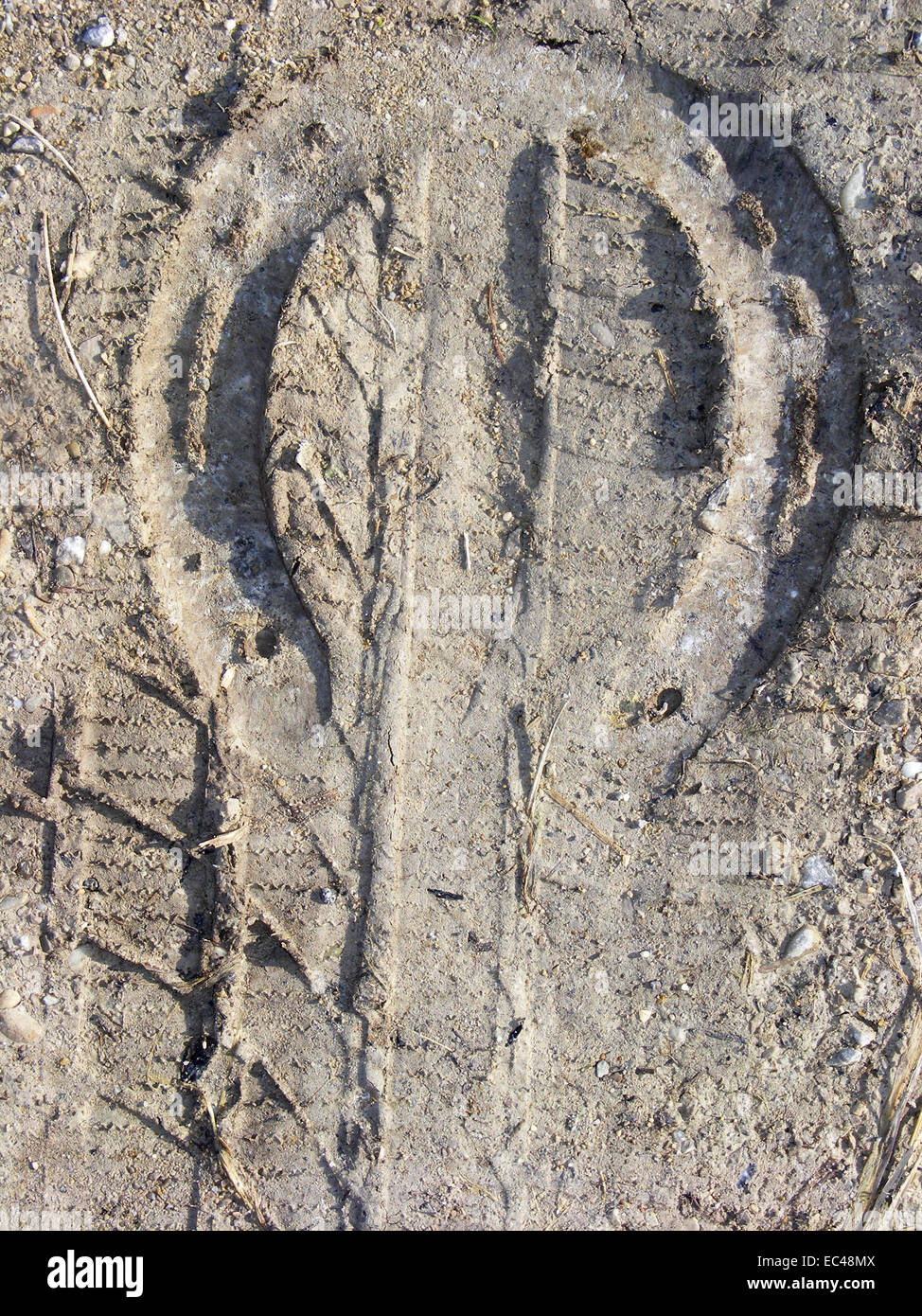 Puissance de cheval Banque D'Images