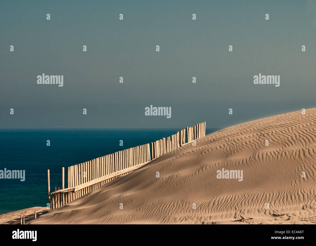 Dune de Punta Paloma, Tarifa, Costa de la luz, Andalousie, Espagne dans la lumière du soir Banque D'Images