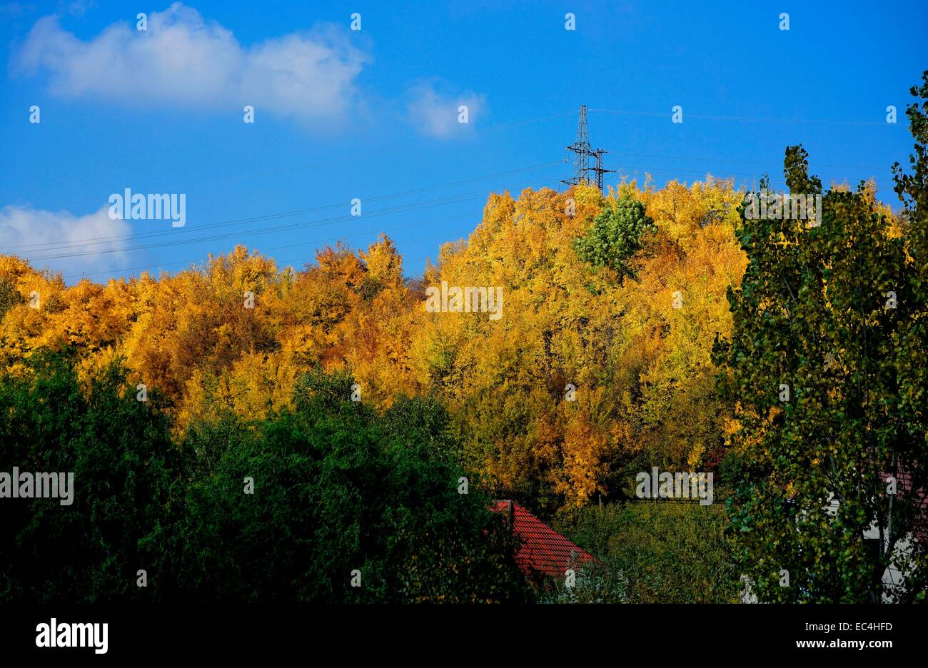 Couleurs d'automne lumineux Banque D'Images