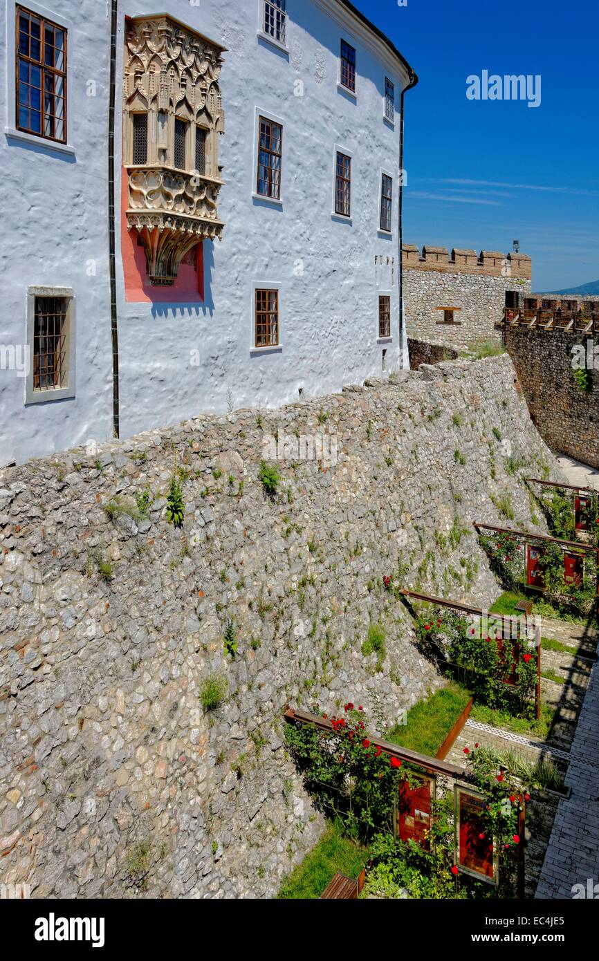 Château en SiklÃ³s avec baies vitrées sur la façade sud de la douve et rose trellis Banque D'Images