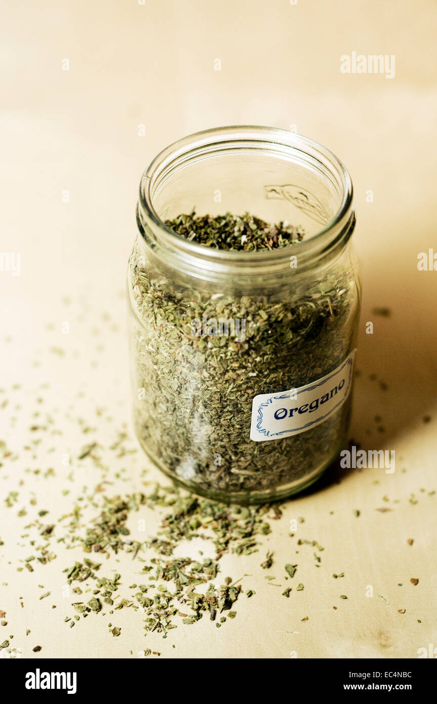 Origan en glas Banque D'Images
