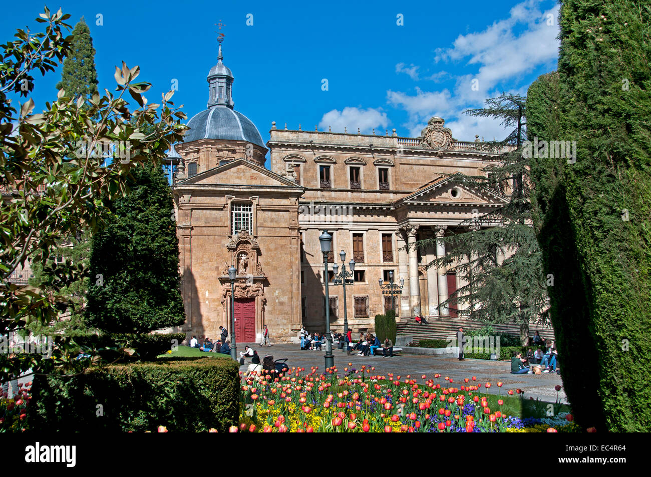 Plaza de Ananya ( Université de Salamanque Castille et Léon ) Espagne Espagnol Banque D'Images