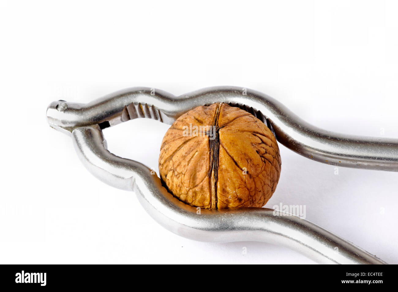 Avec un casse-noix Walnus Banque D'Images