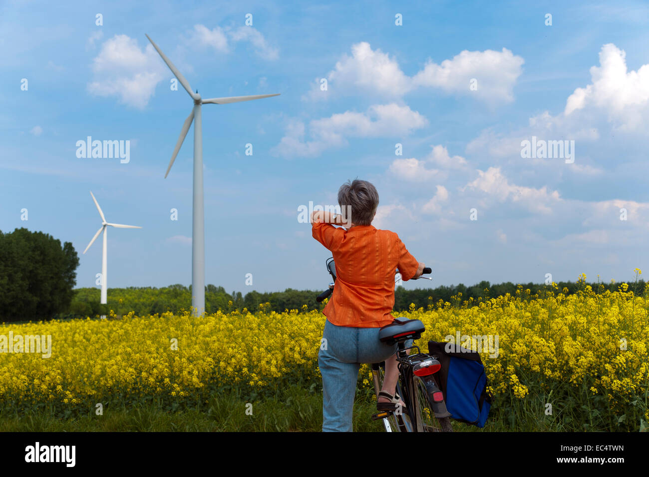Femme est face à un champ de colza et considère que les éoliennes Banque D'Images