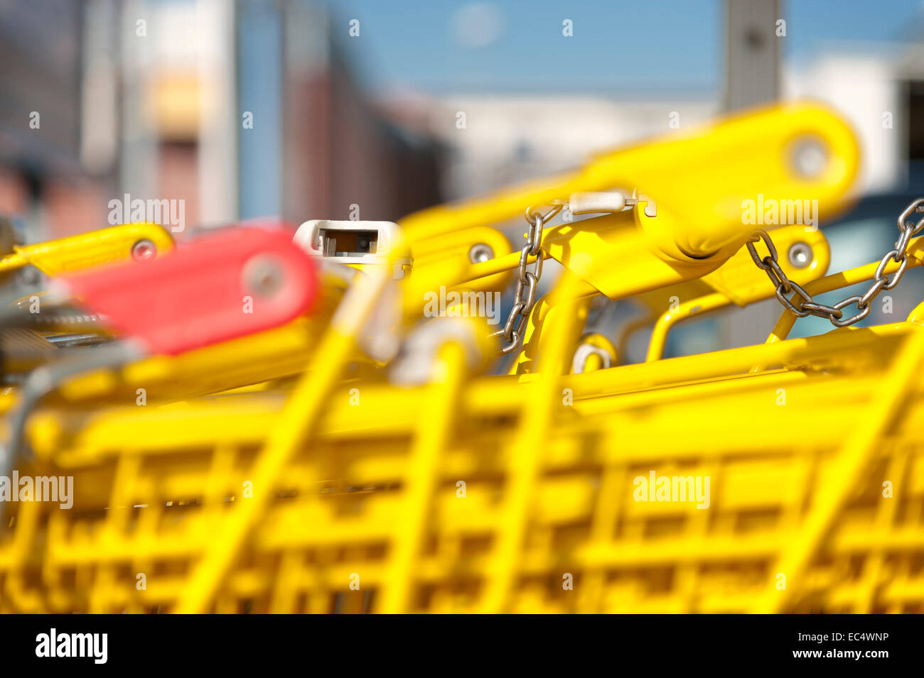Parqué dans une rangée Panier Banque D'Images