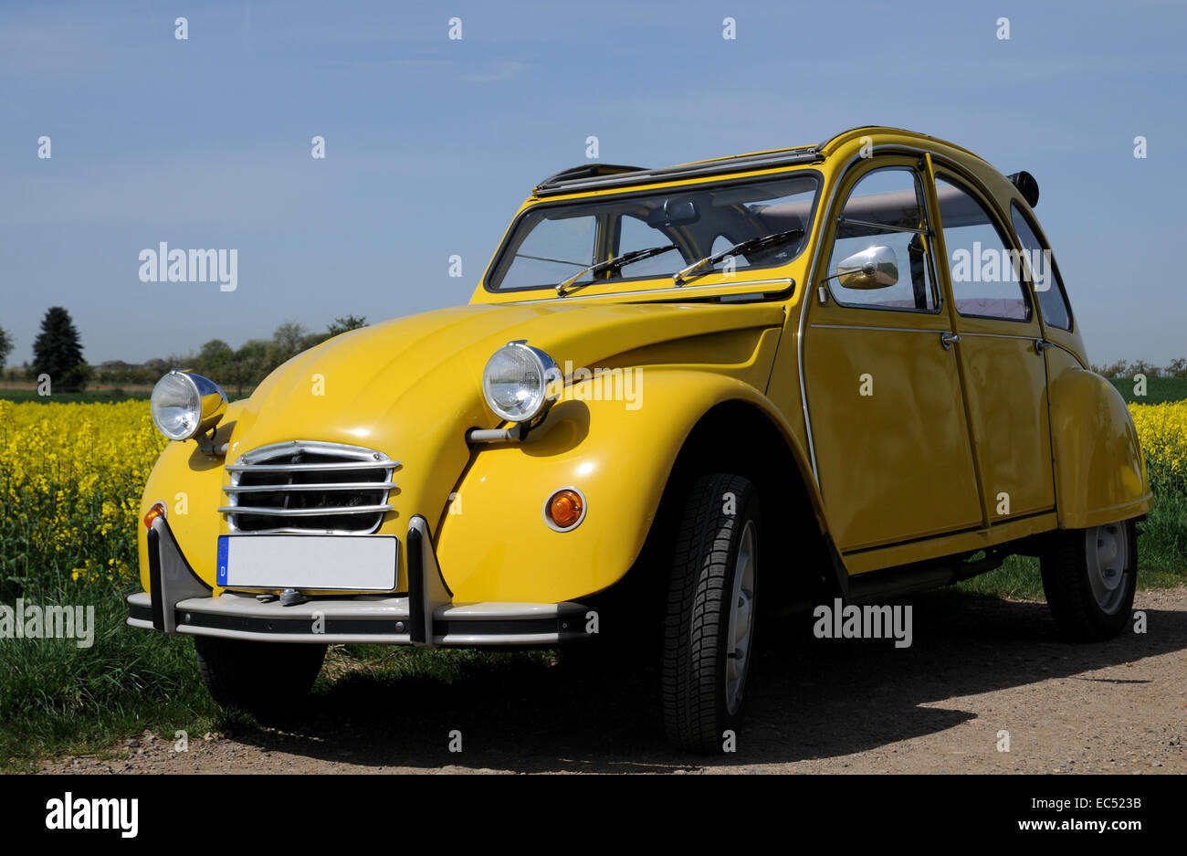 2CV de canard 6 Banque D'Images