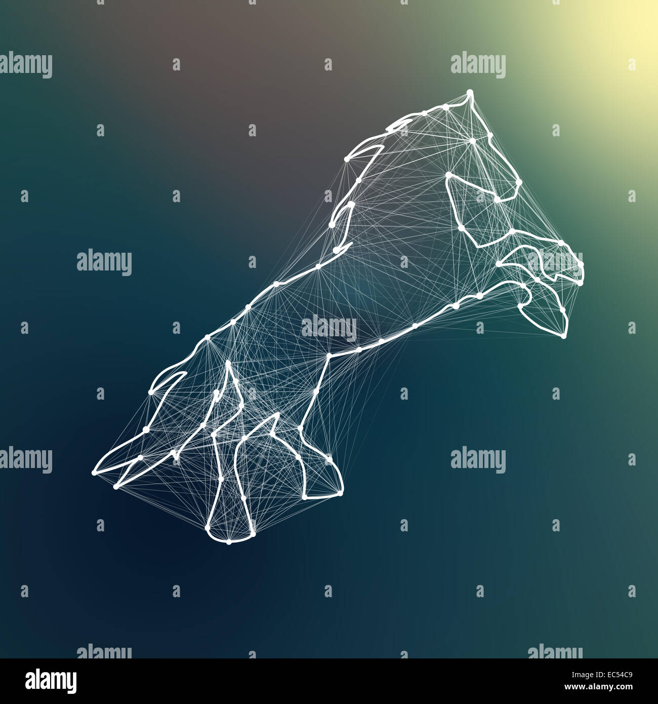 Magic white abstract cheval. Points connectés Banque D'Images