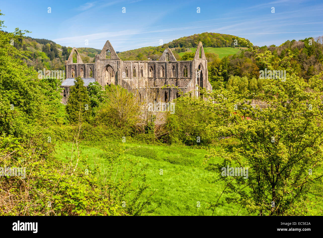 Les ruines de l'abbaye de Tintern un monastère cistercien médiéval, Monmouthshire, Pays de Galles, Royaume-Uni, Europe. Banque D'Images