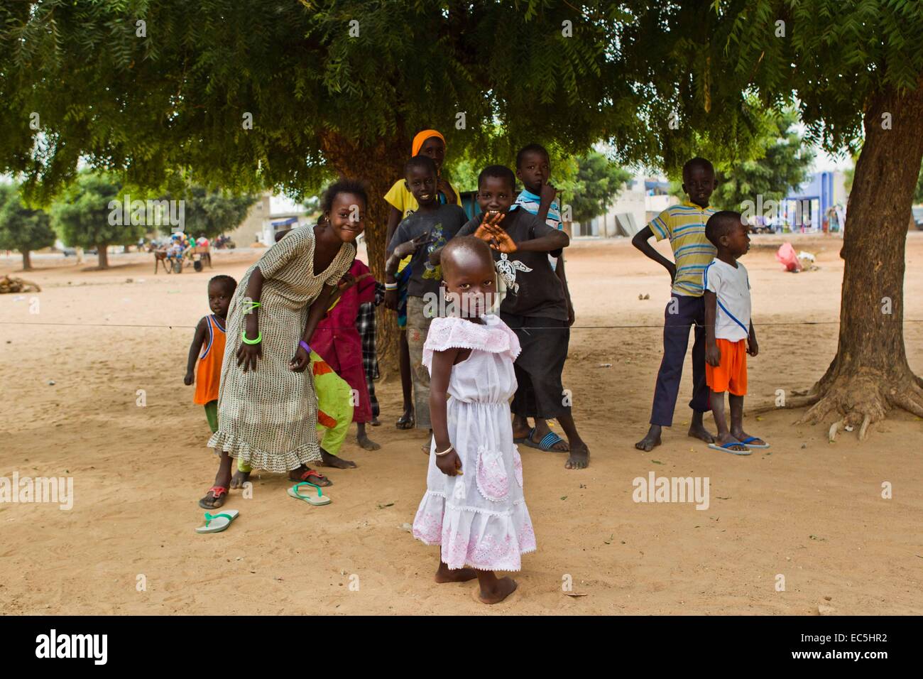 Touba, Sénégal. Nov 9, 2014. Les enfants jouent dans la rue à Touba, la ville sainte du Sénégal, Novembre 9, 2014. Le festival célébrera sénégalais de Grand Magal jeudi, un pèlerinage annuel qui est estimée pour attirer plus de 2 millions de fidèles Mouride dans l'Afrique de l'Ouest et dans le monde. © Li Jing/Xinhua/Alamy Live News Banque D'Images